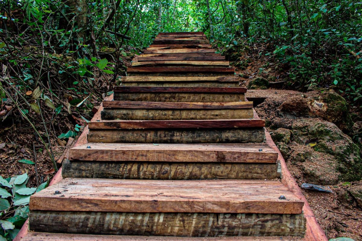Ponte de Pedra em preto e branco