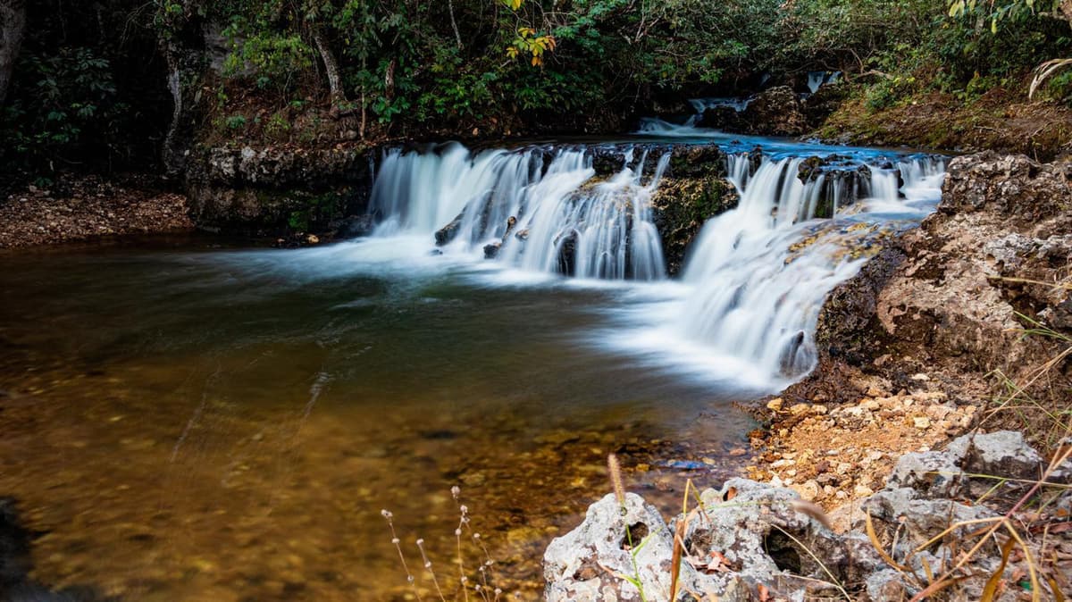 Ponte de Pedra e vegetação