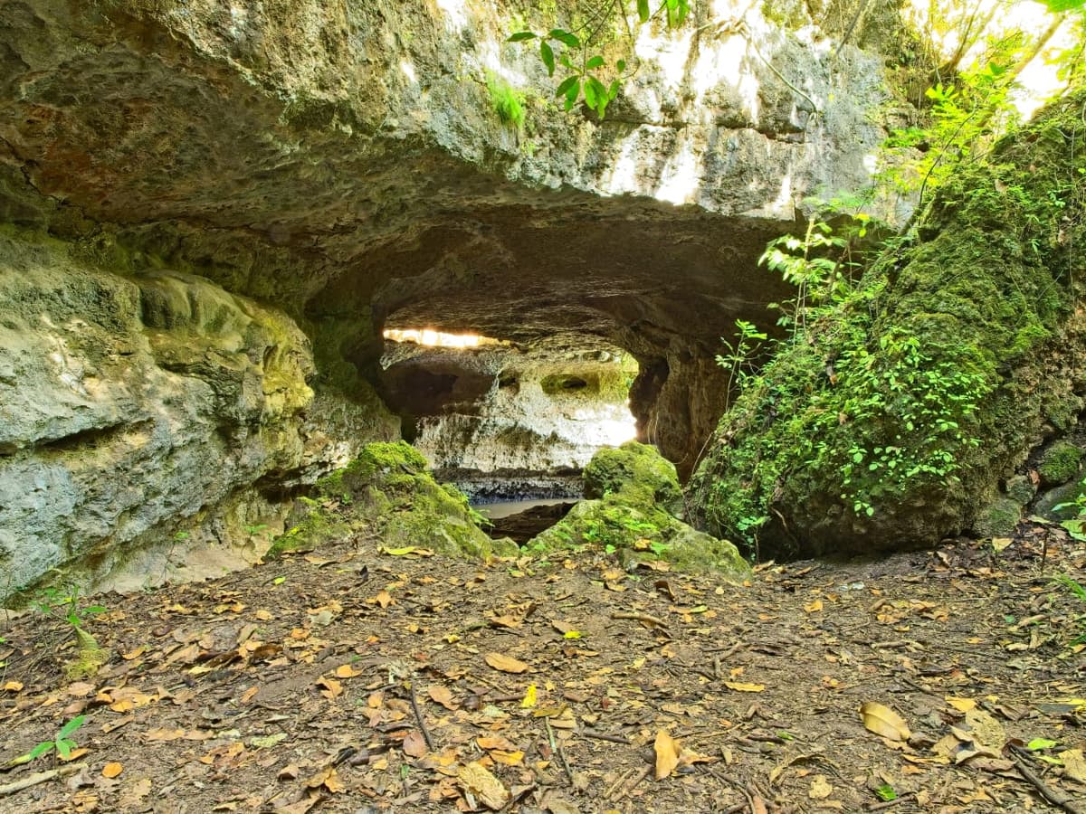 Ponte de Pedra e vegetação nativa do Cerrado